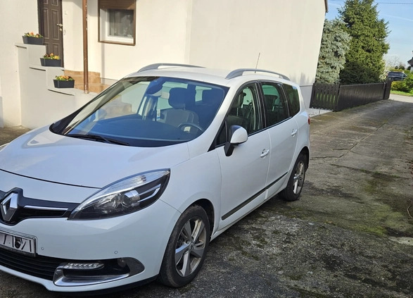 Renault Grand Scenic cena 31000 przebieg: 240000, rok produkcji 2015 z Pniewy małe 67
